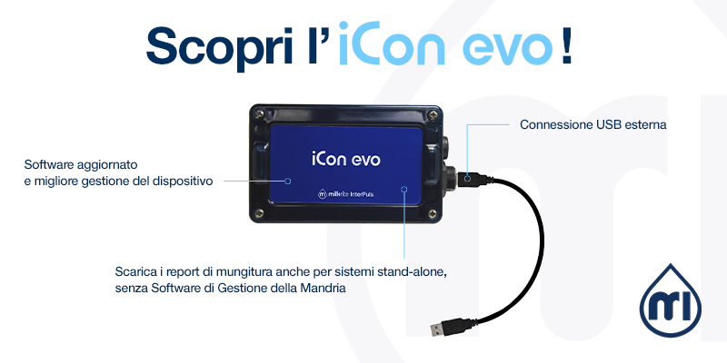 Icon Evo   ITA